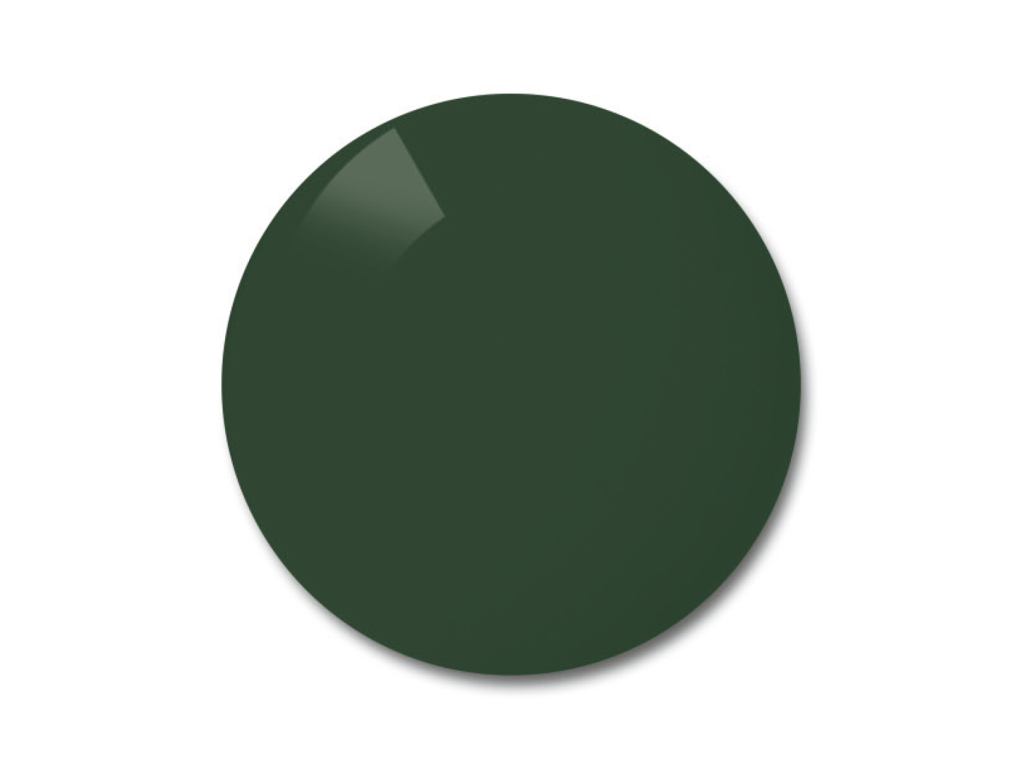 Зображення поляризованої лінзи ZEISS у кольоровому варіанті Pioneer (сіро-зелене тонування лінзи) 